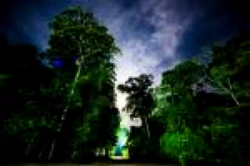 Estudo inédito revela que reflorestamento na Amazônia é crucial para resfriar o planeta