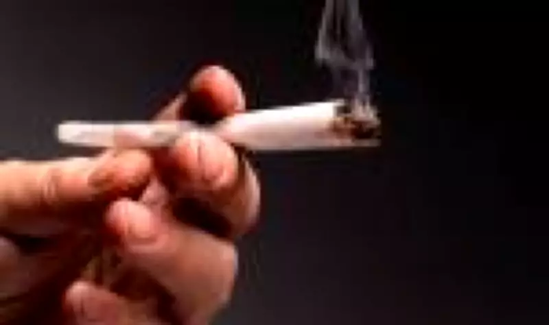 Estudo revela que uso prolongado de maconha pode afinar córtex frontal do cérebro