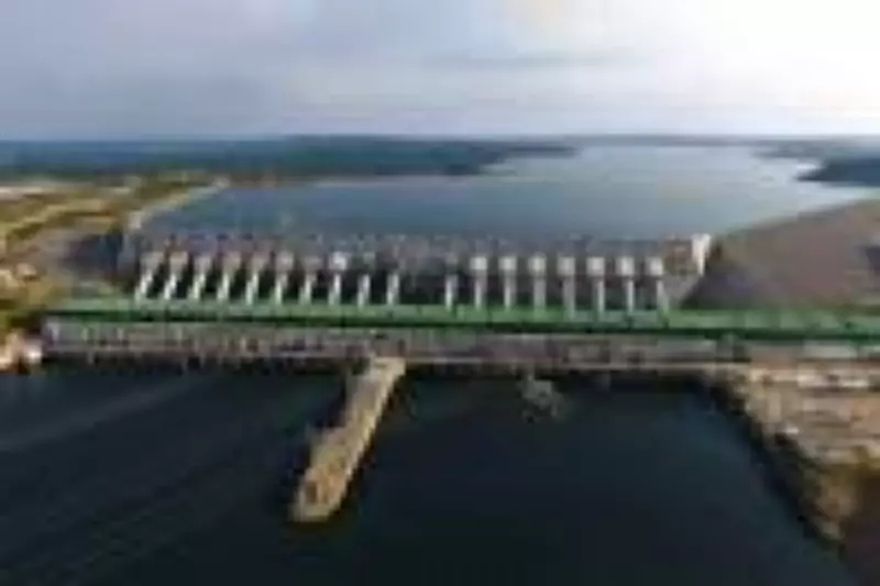 Ex-executivo da Vale assume presidência da Norte Energia, responsável por Belo Monte