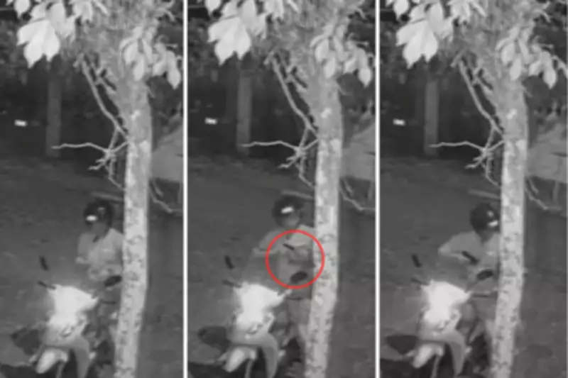 Ex-guarda municipal é condenado por matar cadela a tiro em São Vicente, SP