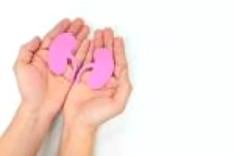 Exame de creatinina: como um simples teste pode proteger a saúde dos rins e prevenir doenças