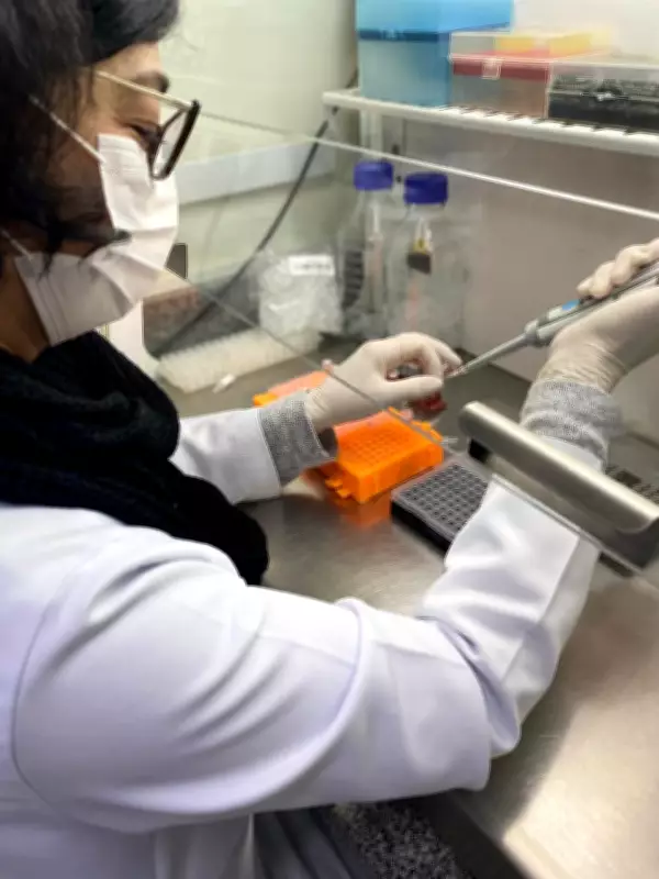 Exame de sangue brasileiro promete revolucionar diagnóstico precoce do câncer de mama