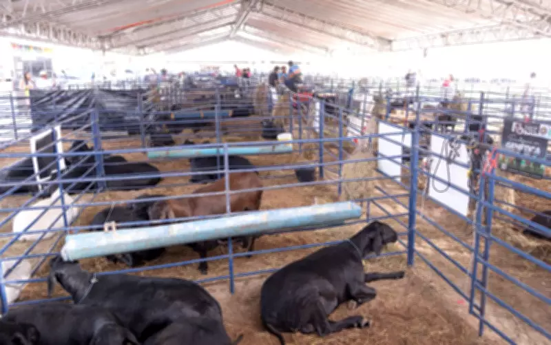 ExpoSerrinha 2026 define data e retorna ao local histórico em Serrinha, Bahia