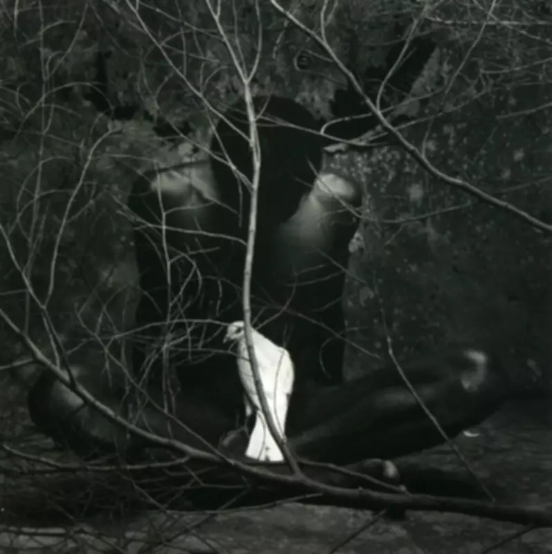 Exposição gratuita no MAM-BA traz 80 obras apresentadas na cúpula do G20