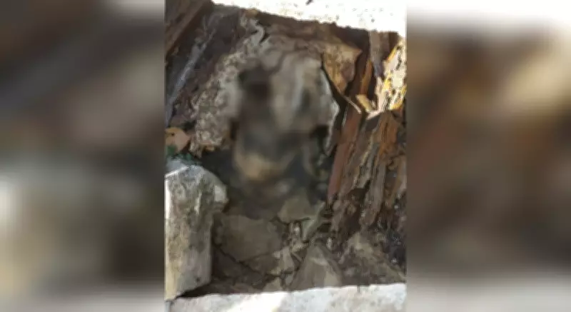 Família encontra túmulo violado com crânio exposto durante visita a cemitério em Sorocaba