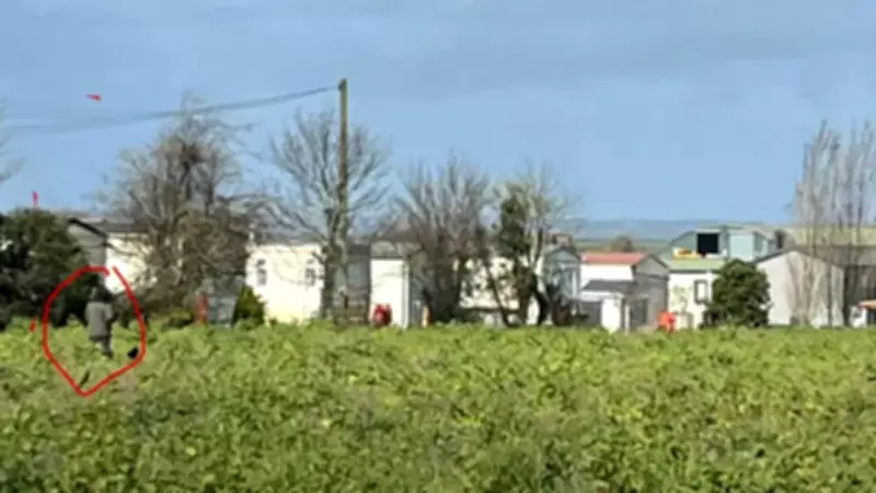 Família identifica brasileira desaparecida na Inglaterra em imagem de moradora