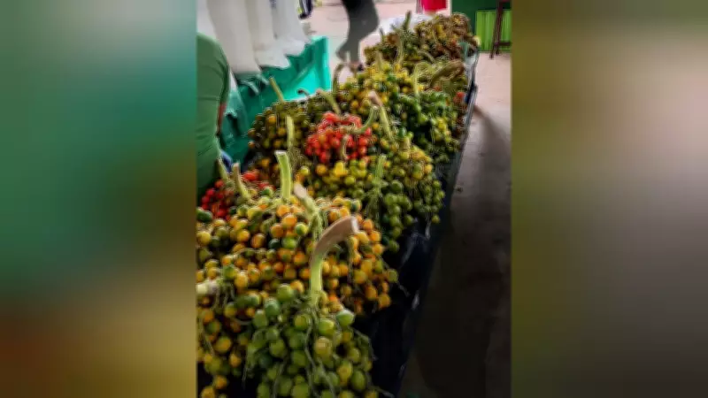 Fartura de Pupunha Alegra Feiras de Santarém Após Anos de Produção Afetada