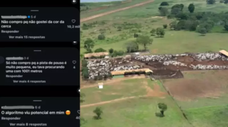 Fazenda de 176 mil hectares é ofertada por R$ 1,2 bi no Piauí e viraliza com comentários humorísticos