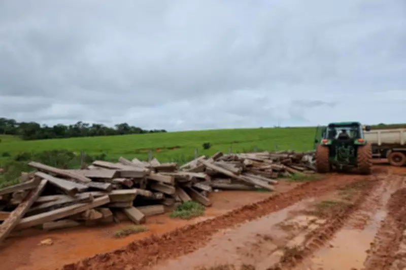 Fazendeiro recebe multa de R$ 12 mil por armazenar ilegalmente madeira de itaúba em Mato Grosso