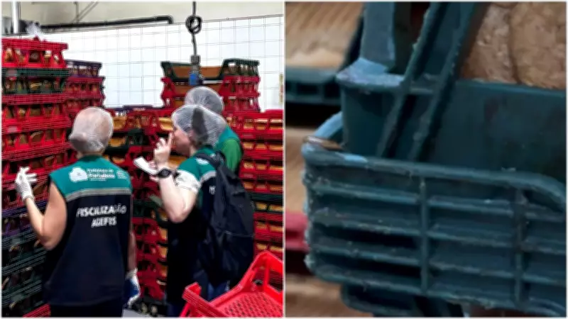 Fábrica de pães autuada novamente em Fortaleza após continuar produção durante interdição por baratas