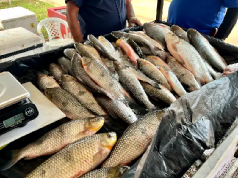 Feira do Pescado em Cruzeiro do Sul projeta venda de 8 toneladas na Semana Santa