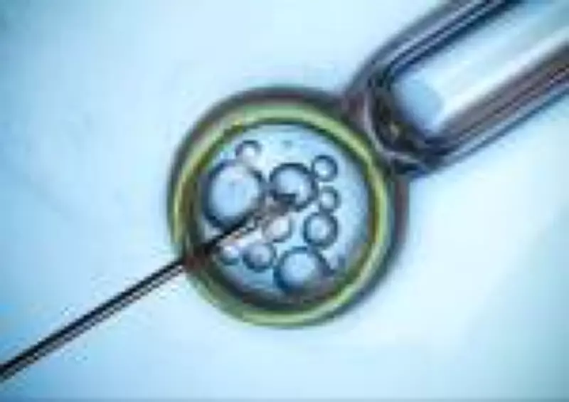 Fertilização in vitro não reverte envelhecimento ovariano após os 35 anos, alerta especialista