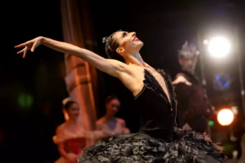 Festival de Curitiba 2026: Maior evento de artes cênicas da América Latina começa em nove dias