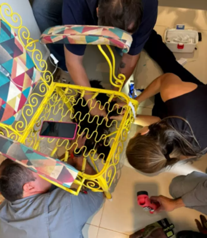 Filhote de cachorro é resgatado após ficar com ferro de cadeira preso na boca em Marília