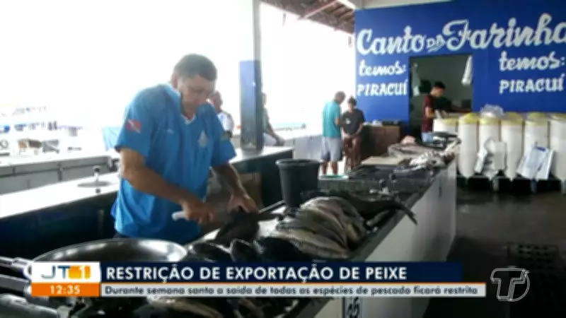 Fim do defeso libera oito espécies de peixes para pesca e venda em Santarém