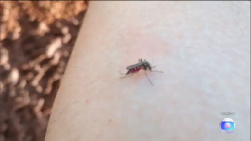 Força Nacional do SUS atua em Dourados após emergência por chikungunya em aldeias indígenas