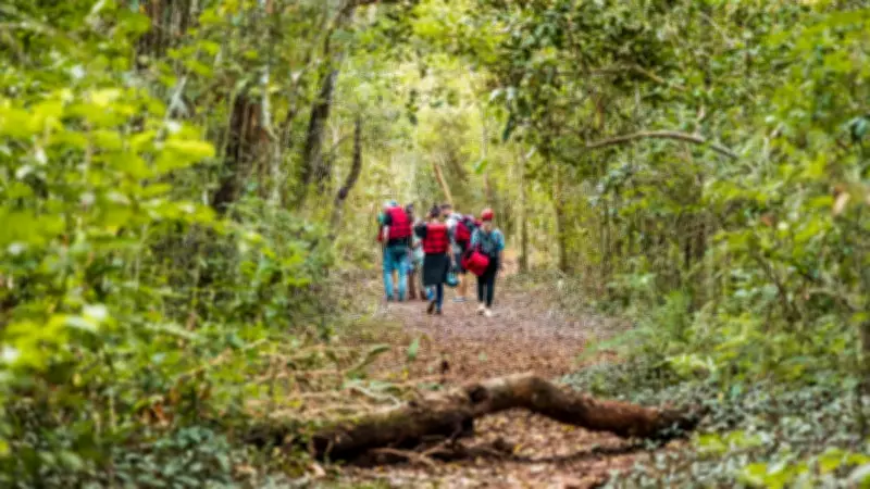 Foz do Iguaçu: Para Além das Cataratas, um Paraíso de Aventura e Adrenalina