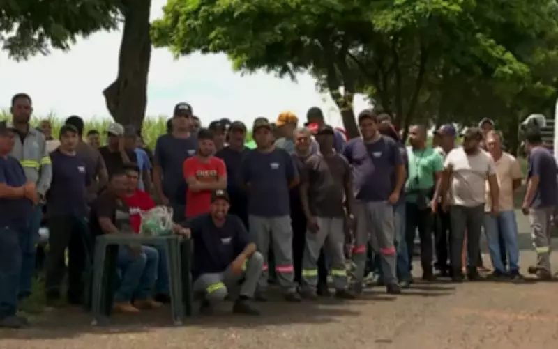 Funcionários da Usina Carolo, em Pontal, entram em greve por atrasos em benefícios trabalhistas