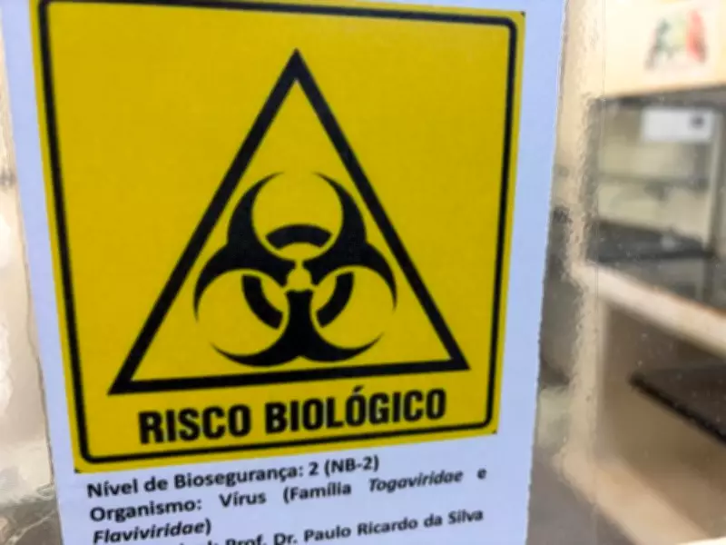 Furto de vírus na Unicamp: como funcionam os laboratórios de biossegurança no Brasil