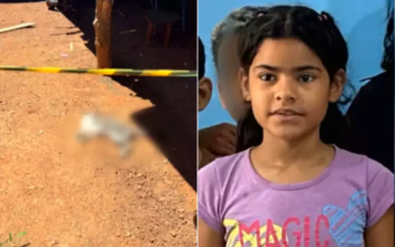 Gatos da família de menina envenenada passam por perícia em caso de morte suspeita