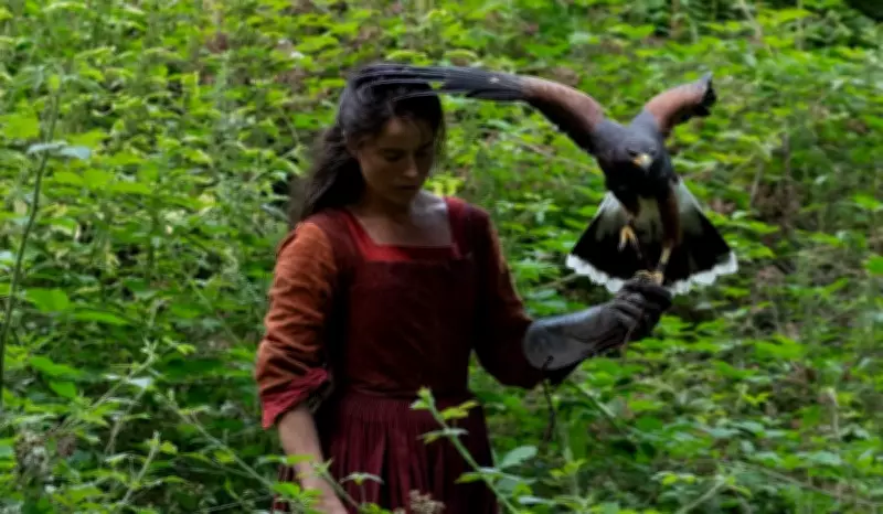 Gavião-asa-de-telha rouba cena em 'Hamnet' e encanta crítica antes do Oscar