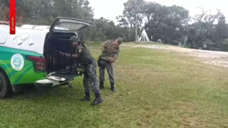 GCM resgata dez aves silvestres mantidas ilegalmente em cativeiro no interior de São Paulo