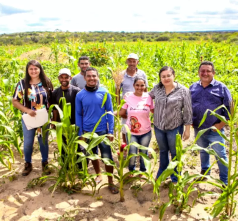 Governo do Piauí anuncia R$ 66 milhões para assistência técnica na agricultura familiar