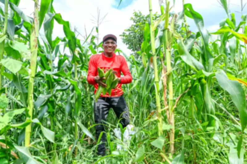 Governo Federal autoriza pagamento de R$ 80 milhões do Garantia-Safra para agricultores do Piauí