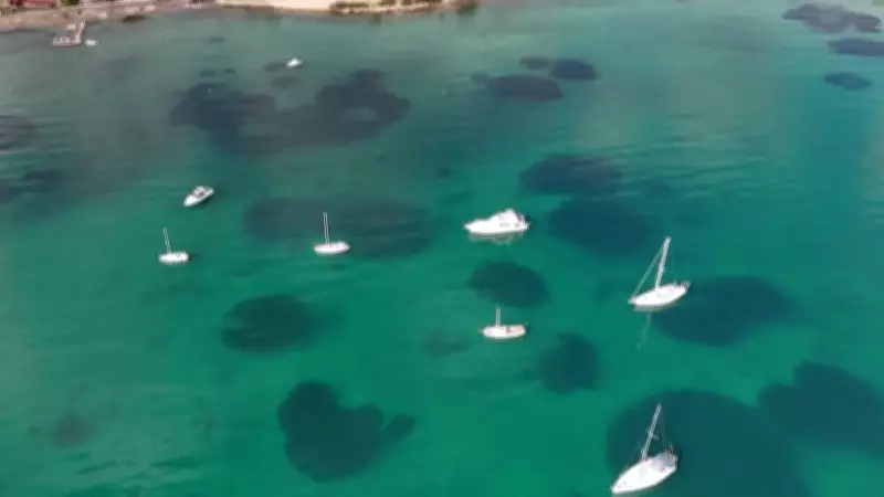 Grécia implementa ancoragem ecológica para proteger planta subaquática no Mediterrâneo