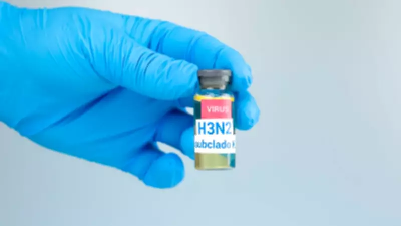 Gripe K: entenda os sintomas, prevenção e cuidados com a nova variação do vírus influenza