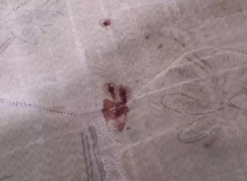 Grávida de cinco meses baleada durante operação policial na Barreira do Vasco, no Rio