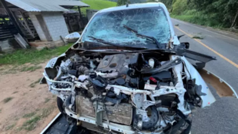 Grávida passa mal após colisão de Hilux com bois na BR-393, no Espírito Santo