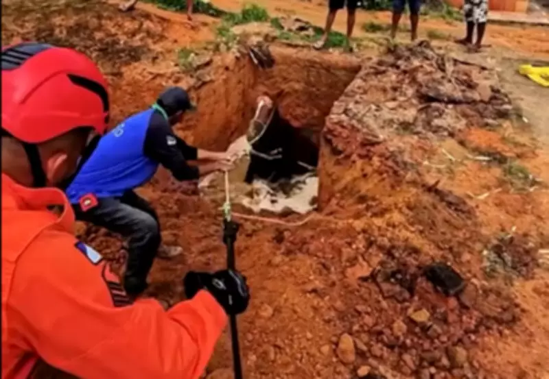 Égua prenha é resgatada de fossa séptica por bombeiros em Gurupi, Tocantins