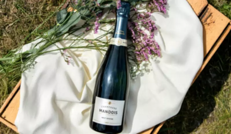 Guia Completo para Escolher o Vinho Perfeito como Presente em Qualquer Ocasião