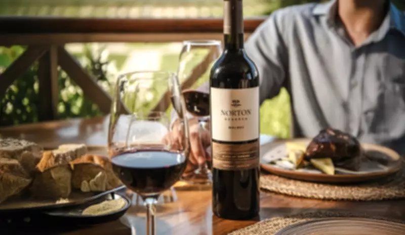 Harmonização de Vinhos no Dia a Dia: Guia Prático para Combinar Bebidas e Comidas