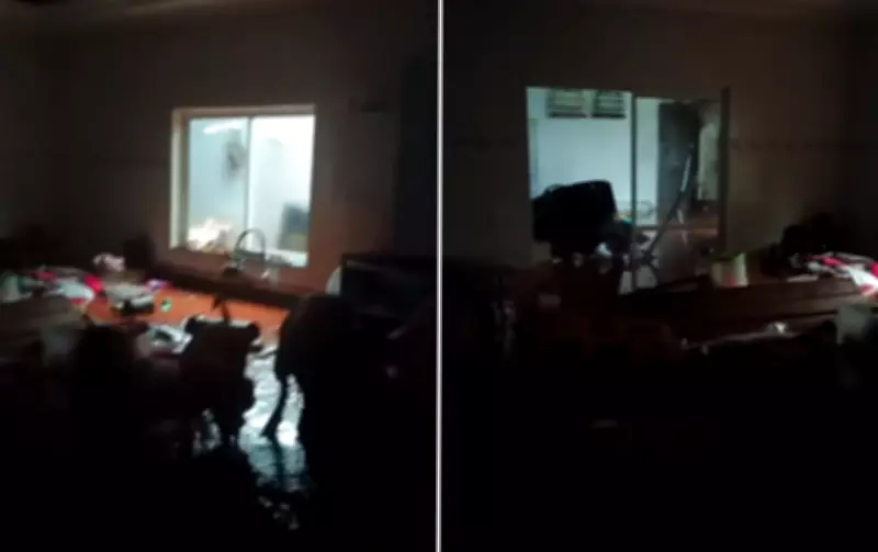 Homem e cadelas são resgatados após temporal alagar casa em Jaú (SP)