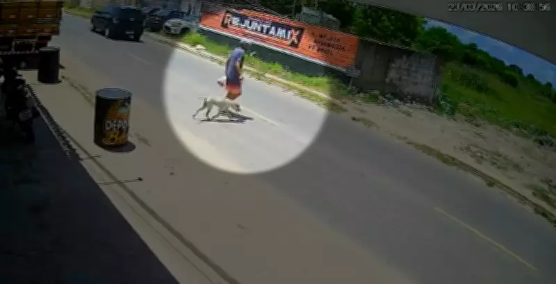 Homem é flagrado amarrando cachorro em terreno baldio em João Pessoa e confessa crime
