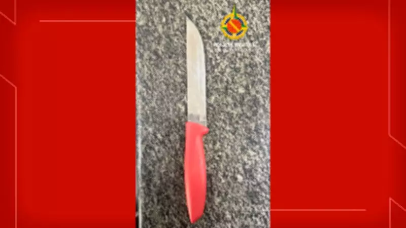 Homem foragido é preso após ameaçar companheira com faca em Taguatinga, DF