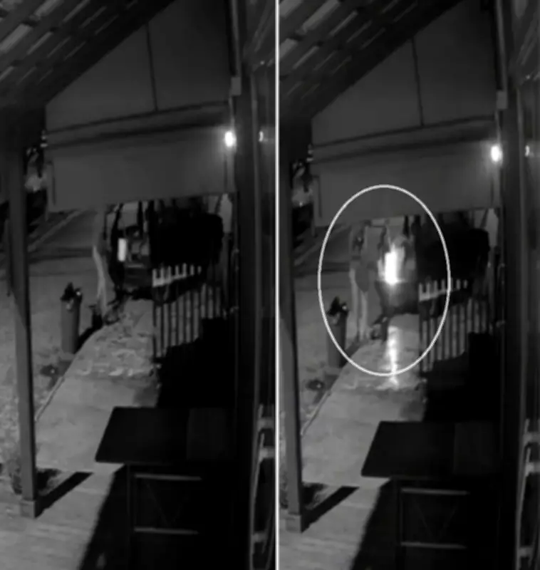 Homem incendeia carro após furto de ferramentas e é preso em flagrante em Saquarema