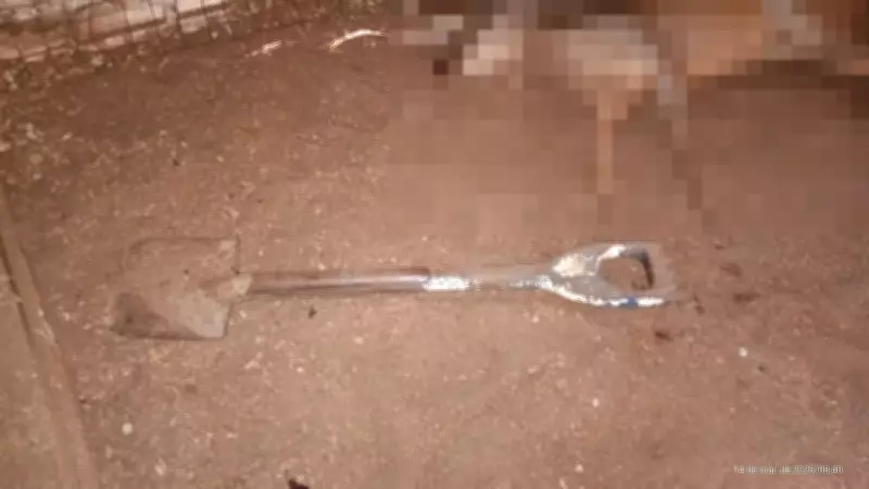 Homem invade zoológico em Cachoeira do Sul e mata veado-campeiro com pá