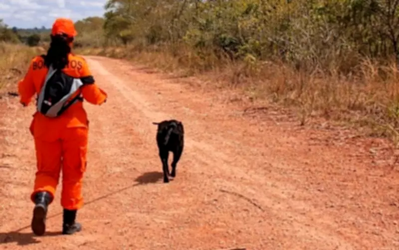 Homem morre após ataque de enxame de abelhas em Riachuelo; corpo é encontrado com cão de busca