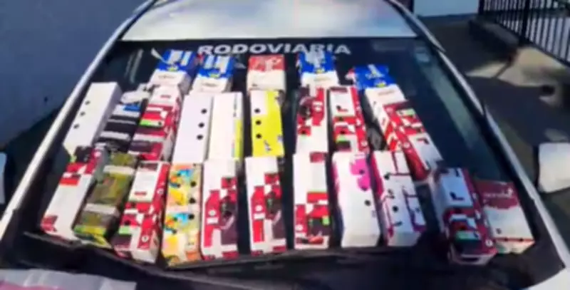 Homem é multado em R$ 117 mil por manter 25 filhotes de aves silvestres em caixas em Rio Pardo