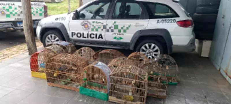 Homem é multado em R$ 55,9 mil por manter 21 aves silvestres em cativeiro em Casa Branca