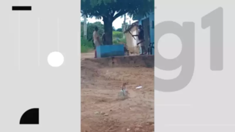 Homem é preso após agredir esposa com foice e faca em zona rural da Paraíba