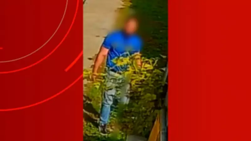 Homem é preso em Brasília por maus-tratos a gato em Manaus após fuga