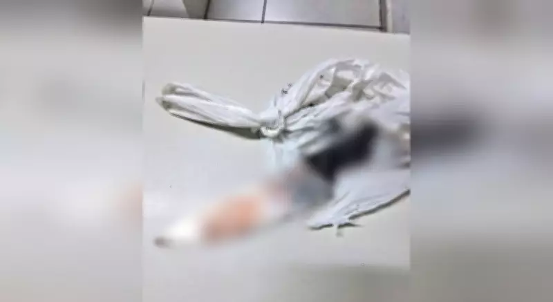 Homem é preso em Jundiaí após matar cachorro a facadas e alegar que animal comeu planta