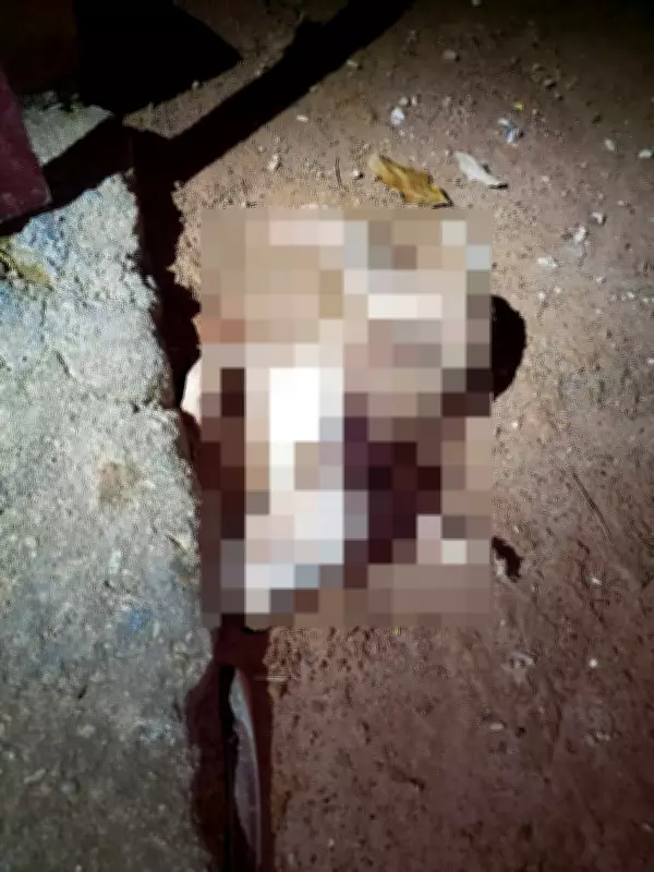 Homem é preso em Muriaé suspeito de maus-tratos após morte de pit bull