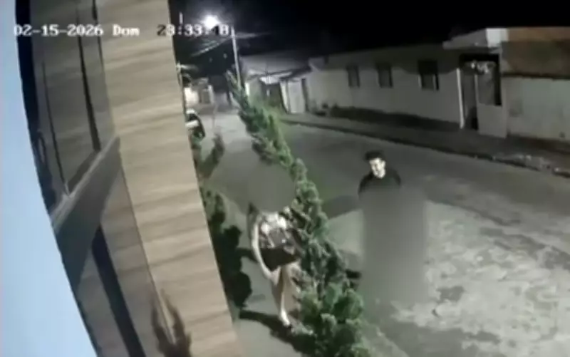 Homem é preso por importunação sexual durante Carnaval em Campanha, Minas Gerais