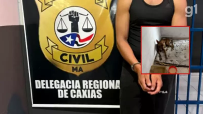Homem é preso por zoofilia contra cadela em Caxias; ele gravava e compartilhava abusos