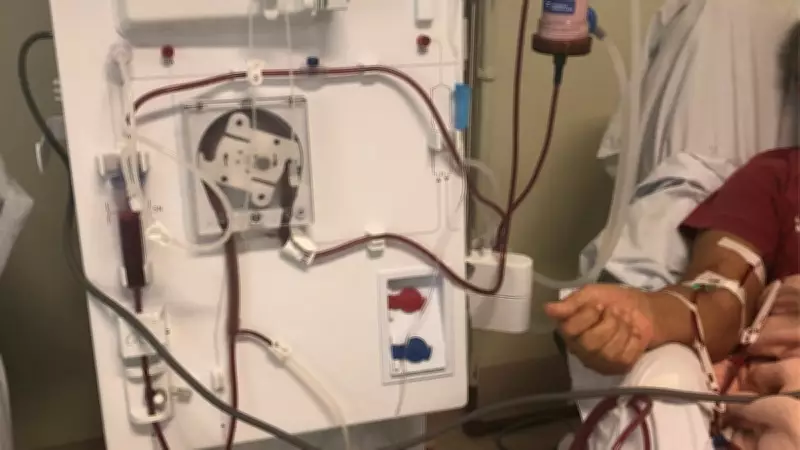 Hospital São José de Criciúma destaca prevenção e tratamento no Dia Mundial do Rim